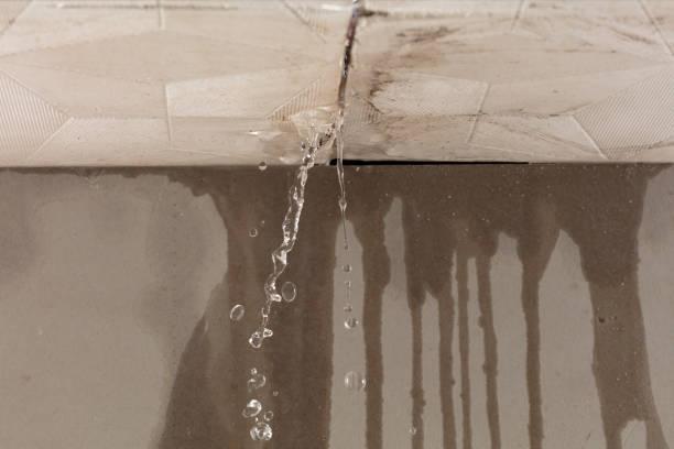Professional Water Damage Inspection technician working in Saint John, WA